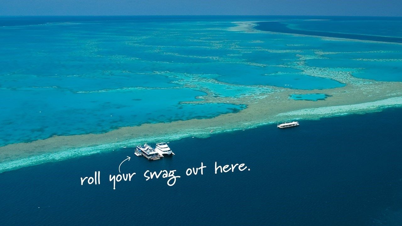 Reef Sleep