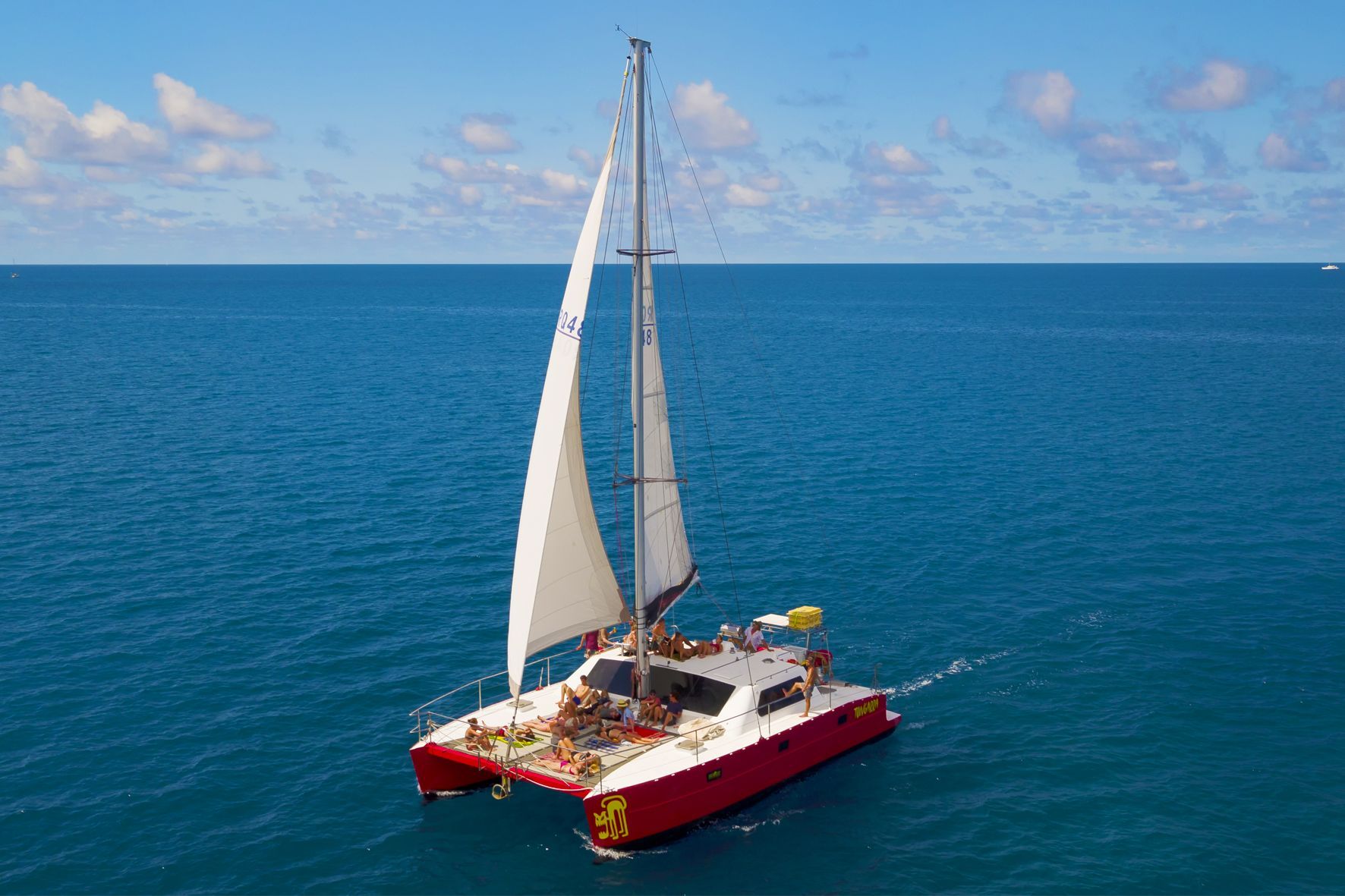 Tongarra Day Sailing Tour