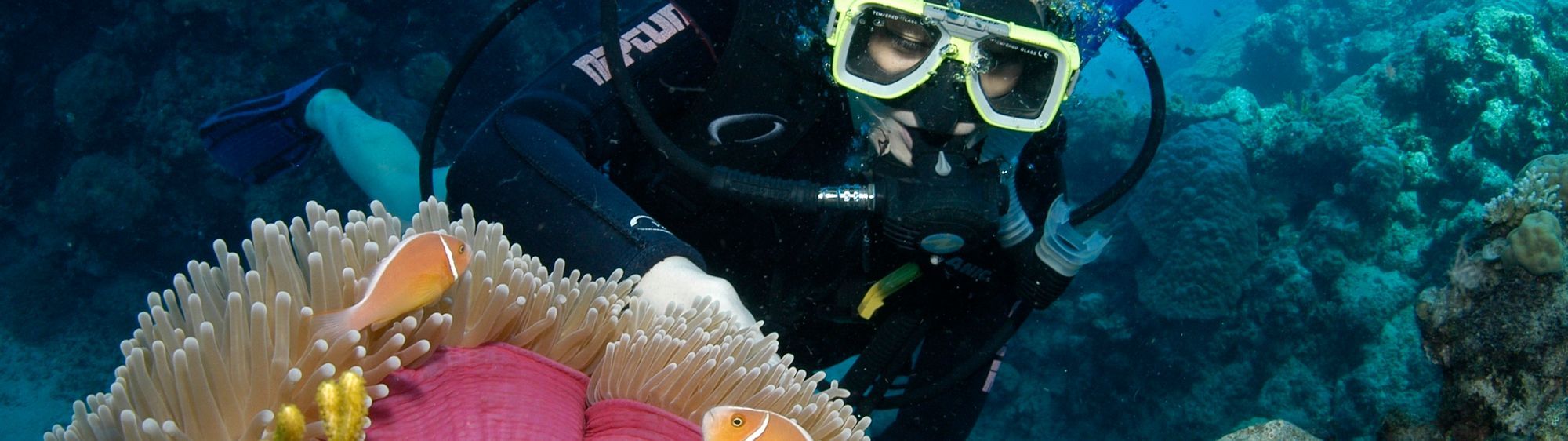 Half Day Dive Tour from Hamilton Island