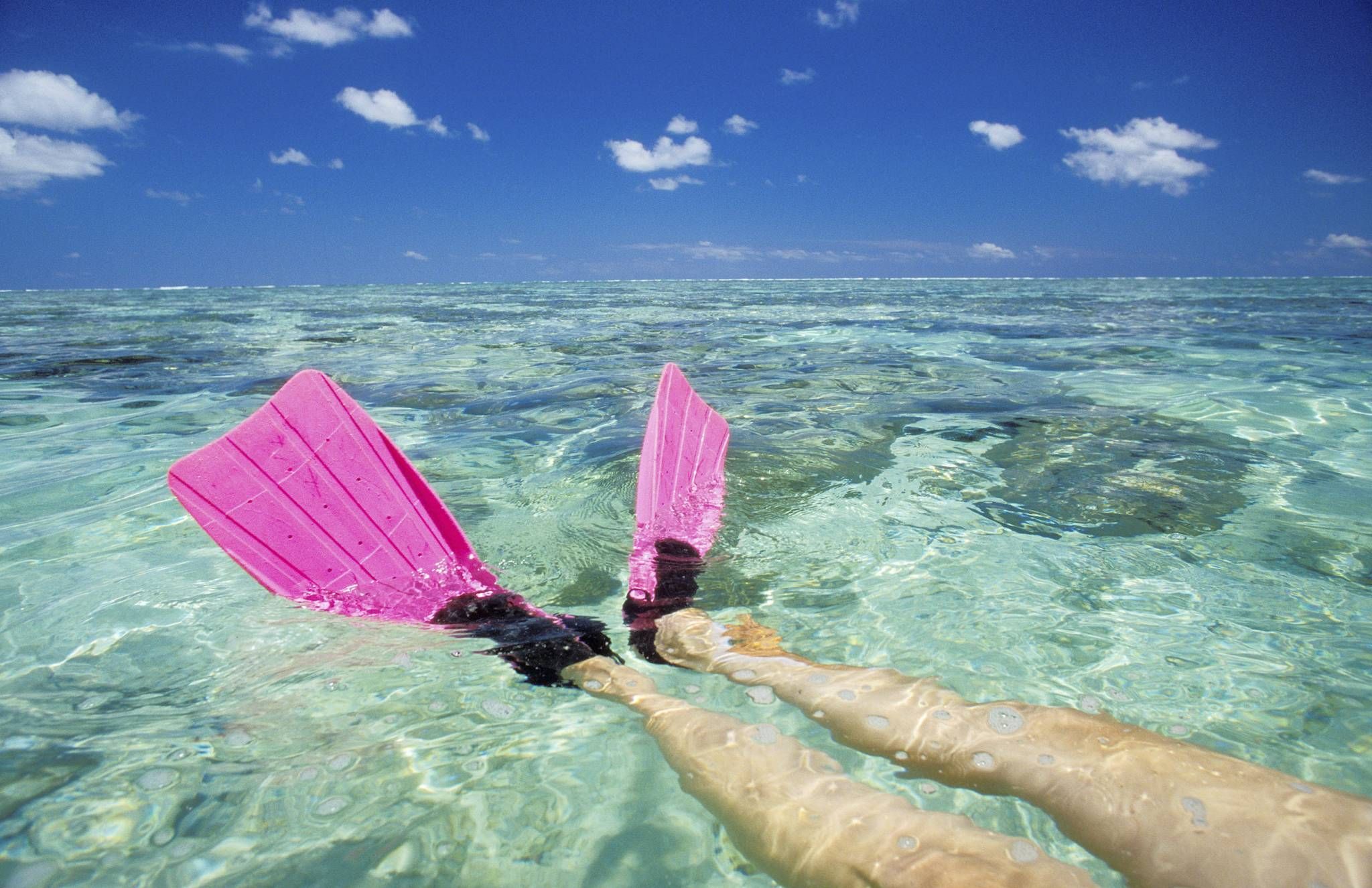 Diving and Snorkelling