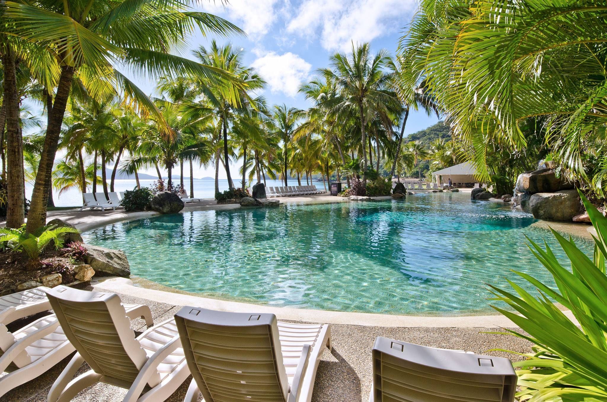 Hamilton Island Bouganvillea Pool