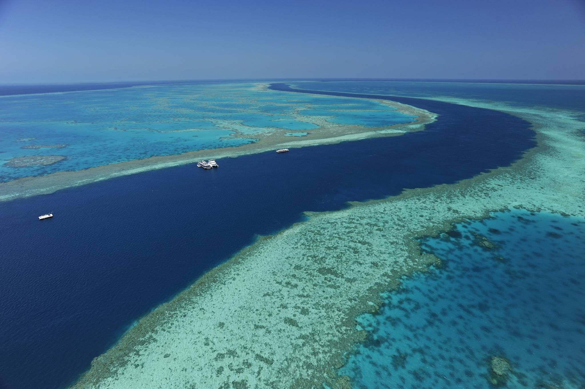 Great Barrier Reef Tours