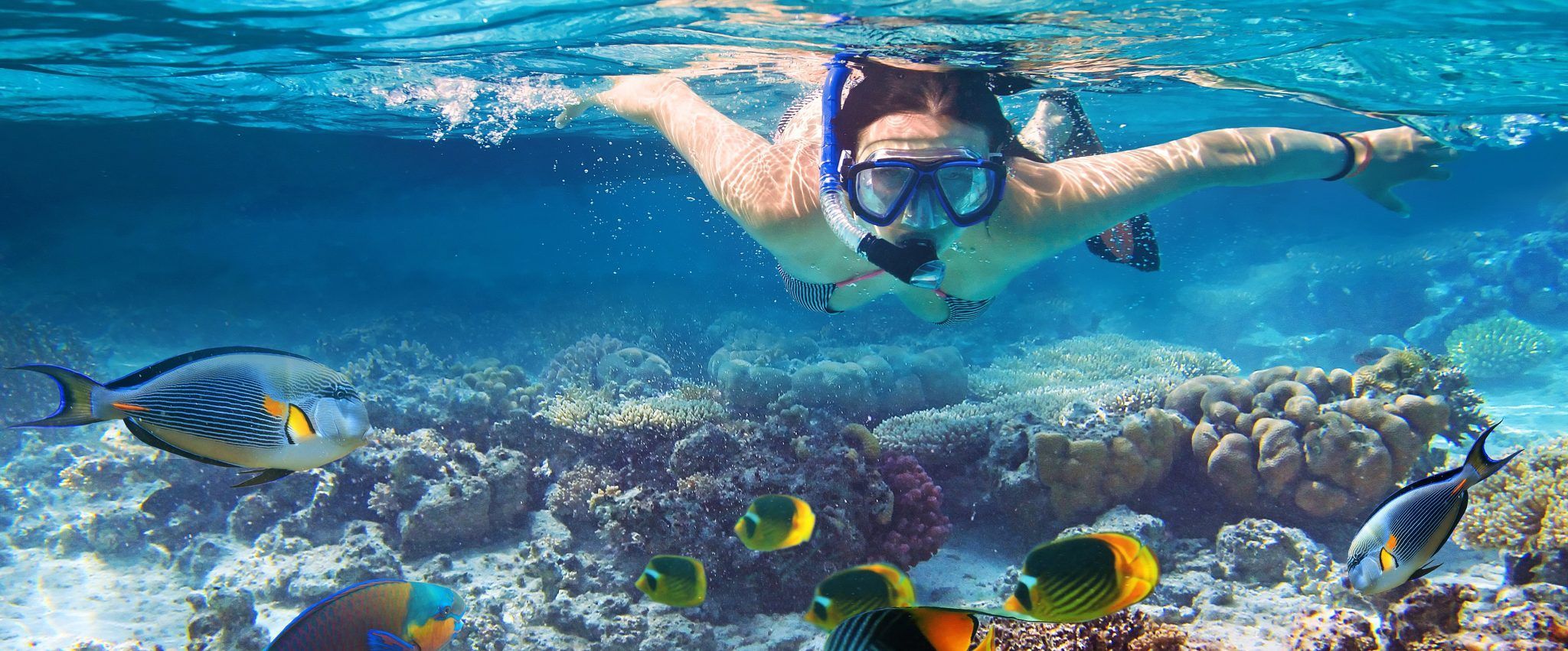 Reef Sleep Premium