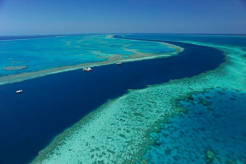 Reef Discovery - Fly Both Ways