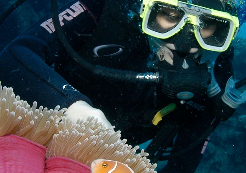 Half Day Dive Tour from Hamilton Island