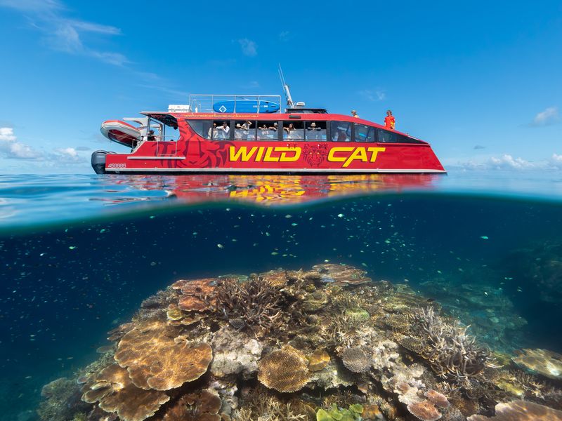 Outer Reef Snorkel Adventure From Airlie Beach Whitsunday Holidays
