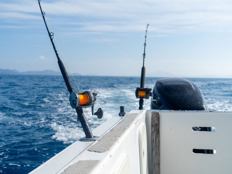 Half day Fishing Tour from Hamilton Island