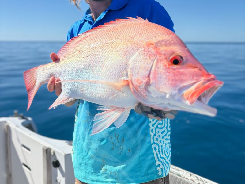 Half day Fishing Tour from Hamilton Island