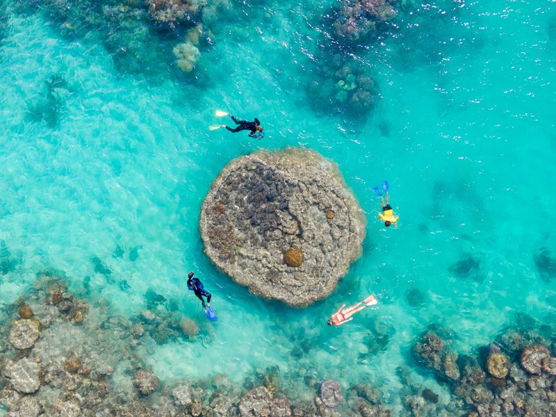 Half Day Splash - Reef & Snorkel Adventure